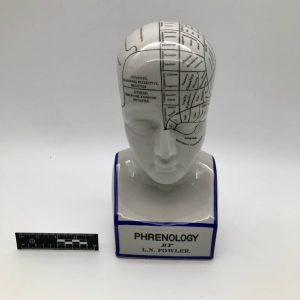 Ceramiczna głowa frenologiczna